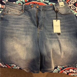 Judy Blue Blue Jean Shorts with Raw Hem